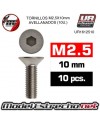 TORNILLOS M2,5X10MM AVELLANADO