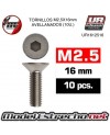 TORNILLOS M2,5X16MM AVELLANADO