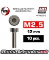 TORNILLOS M2.5x12mm CILINDRICO (10U.) 

Ref: UR1632512