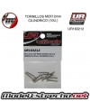 TORNILLOS M2x12mm CILINDRICO (10U.) 

Ref: UR163212