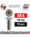 TORNILLOS M4x10mm AVELLANADOS (10U.)