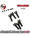 TORNILLO 2.5X8MM TRAXXAS (6U.)

Ref: TRX3965