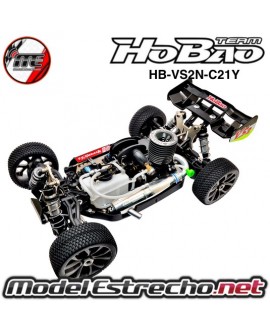 HOBAO HYPER VS2 NITRO BUGGY 21 1/8 RTR

Ref: HB-VS2N-C21Y
