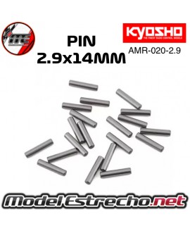 PINES KYOSHO 2.9x14 (20pcs)

Ref: AMR-020-2.9