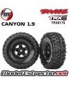 RUEDAS TRAXXAS 1.9 CANYON TRAIL MONTADAS (2U.) TRX8179